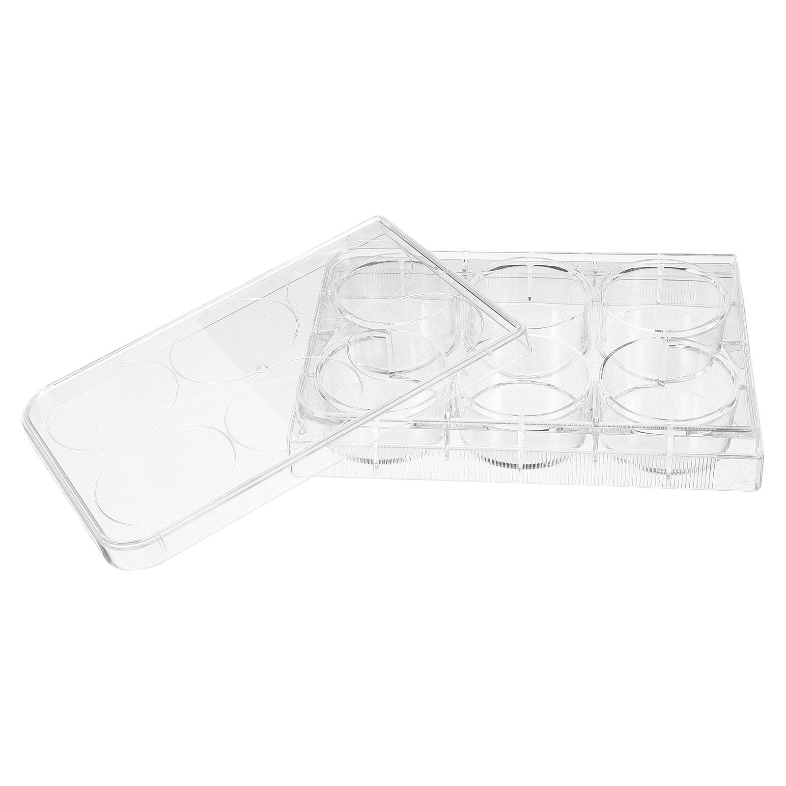 Tissue Culture Plate Lab Durab - Lab Equipment ulasan dan harga