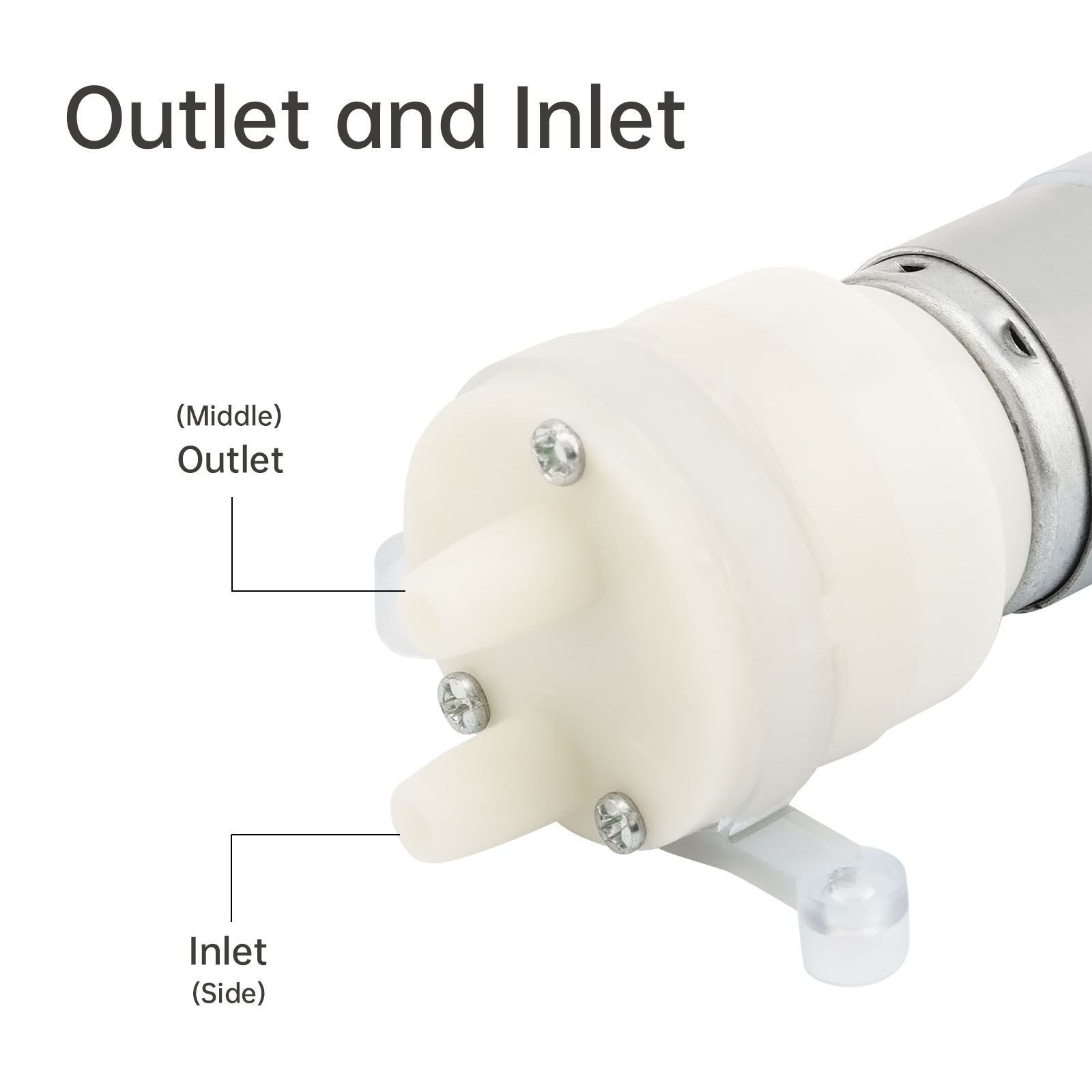 R365 Micro Water Pump Motor DC - Mini Peristaltic Pump 12V ulasan dan harga