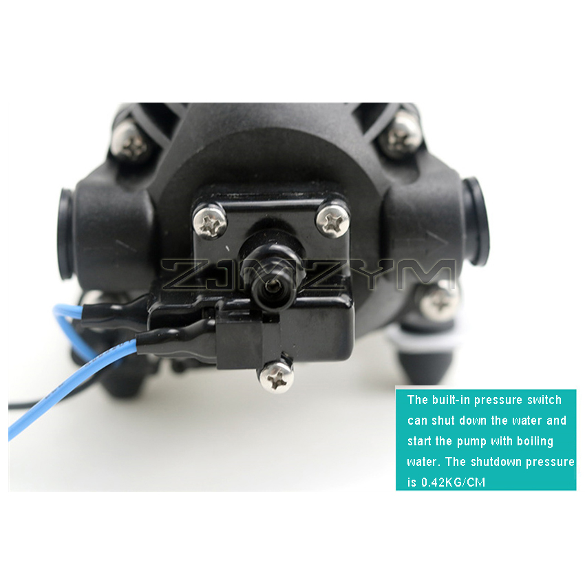 Brushless DC High Pressure Wat - Mini Peristaltic Pump 12V ulasan dan harga